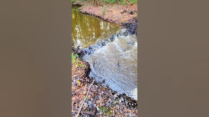 Prayer Of Protection At The Beaver DAM