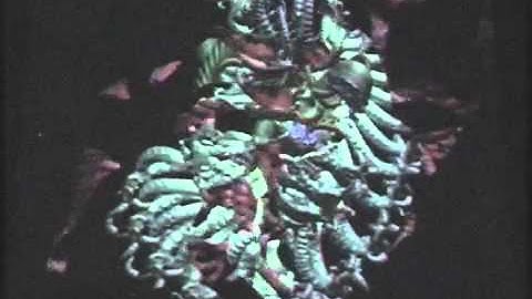 William Latham - Update @ zebrastraat