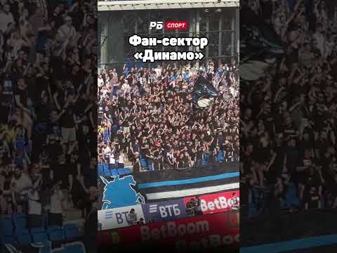 ПОЛНЫЙ ФАН-СЕКТОР ДИНАМО