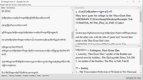 Tutorial 4: Arranging Segments in OmegaT