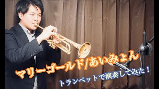 マリーゴールド【トランペットで演奏してみた！】