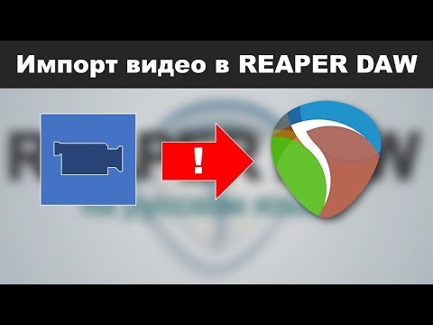 Импорт видео в РИПЕР. Решение ошибки при импорте видео.
