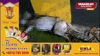 Multiple animals found dead on Penang Hill; suspected poisoning triggers urgent investigation