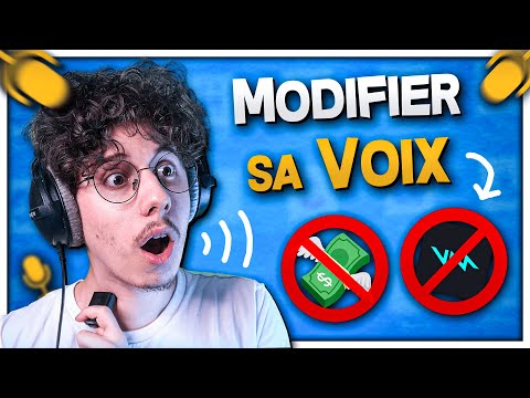 Faire un Effet Réverbération / Écho sur son Stream (Sans Voicemod) 