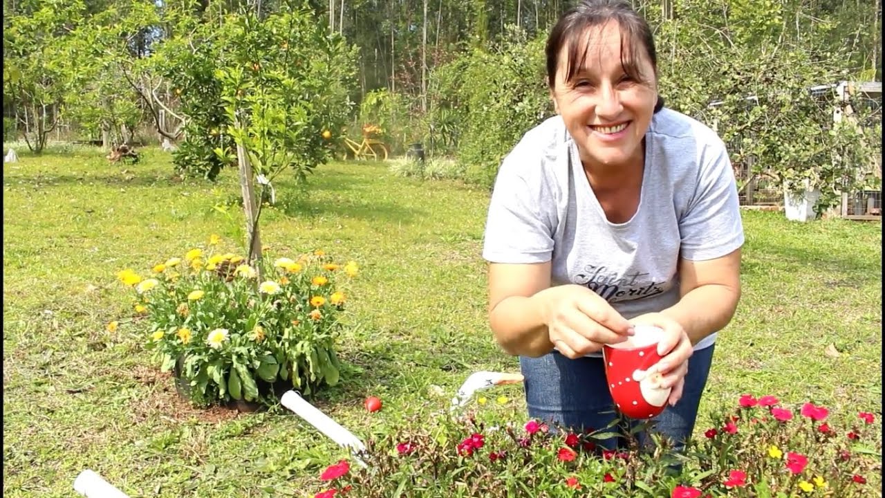 COMO COLHER SEMENTES DE CRAVINA + FLORADA DOS CITRUS + CALÊNDULAS