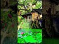 Beautiful Village Water Sound Soothing Meditation Music Nature Sound Shorts Tiktok Viral Reel mp3