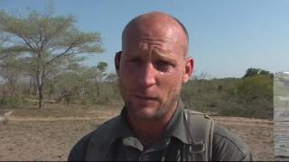 Sabi Sand Wild Safari Live 2016-10-27 sunset
