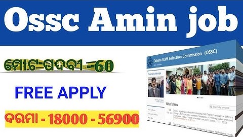 ossc amin recruitment 2022 // odisha govt amin // amin syllabus