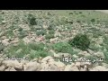 يادكتور عاد شي دواء ماطاعت عيوني تنام يادكتور عاد شي دواء ماطاعت عيوني تنام