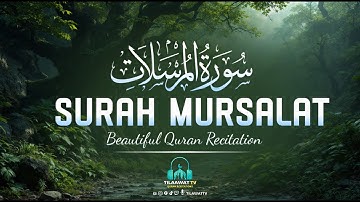 Surah Al Mursalat - سورة المرسلات | Relaxing Heart Touching Voice | Tilaawat TV