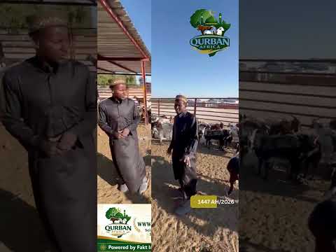 Qurban Africa 2026 video thumbnail
