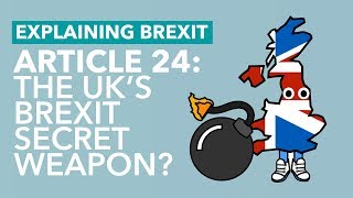 Is WTO Article 24 The UK's Secret Weapon? - Brexit Explained