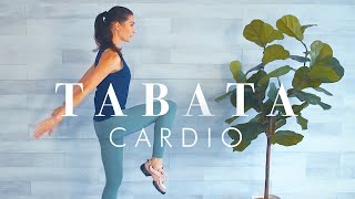 Tabata Workout for Beginners & Seniors // Cardio & Tone Pilates inspired Exercises by SeniorShape Fitness 54,117 views 5 months ago 28 minutes