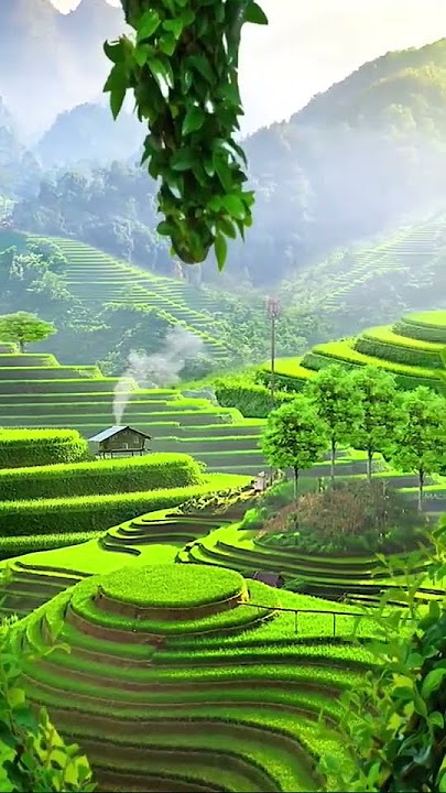 Beauty full place