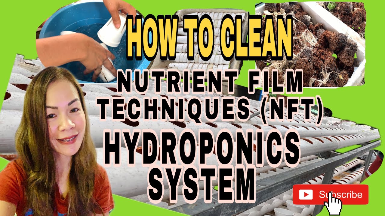 HOW TO CLEAN NUTRIENT FILM TECHNIQUES (NFT) HYDROPONICS SYSTEM ...