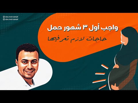 فيديو: ما هي أفضل حوامل السفر؟