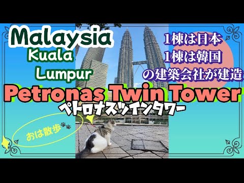 ペトロナスツインタワー お散歩をカラスに邪魔されて威嚇する猫 Malaysia Kuala Lumpur #PetronasTwinTower #猫とカラス#マレーシア移住