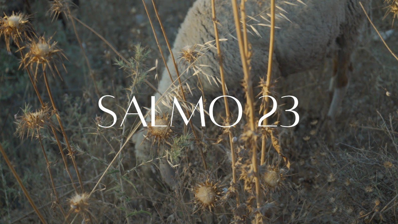 Salmo 23 -  Versão Acústica - Voz de Muitas Águas