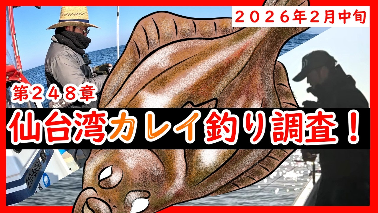 【調査】仙台湾のカレイ今年は釣れるのか？リアルな結果