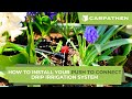 How to install your push to connect drip irrigation system