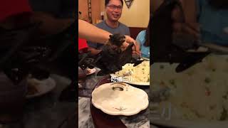 خفاش غذای معروف چینی 😂