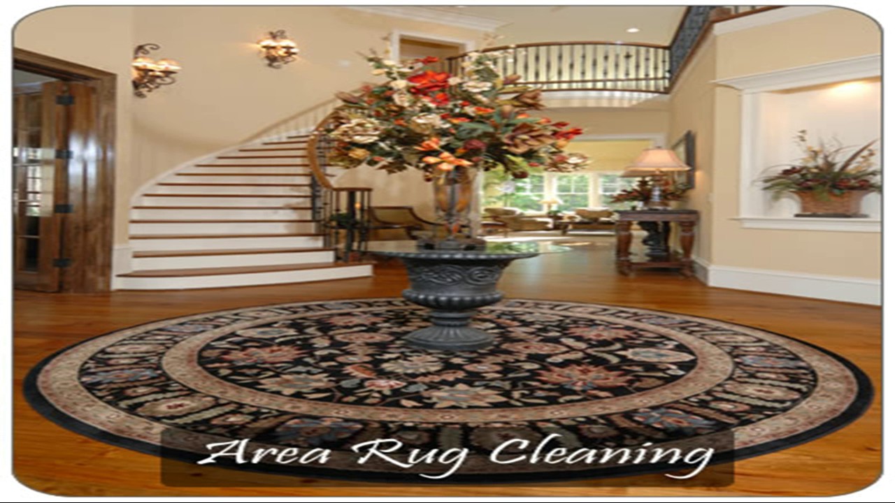 Selecting the best Carpet Cleaning services in Doylestown PA YouTube