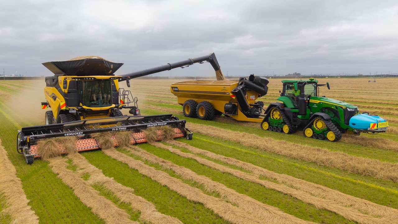 NEW HOLLAND CR11 Twin Rotor Combine Harvesting Grass Seed