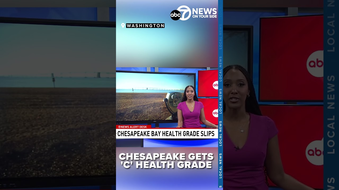 Chesapeake Bay's health grade drops in annual report card