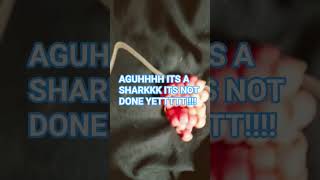 im making a shark for my boyfriend :3 #shark #kandi #vent #venting @kai_kato66