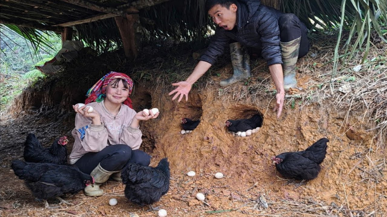 Quang's idea was to make a place for the chickens to lay eggs while Thuyet was away.