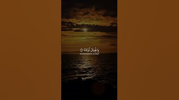 عم يتسائلون || سورة النبأ || عبد الرحمن مسعد