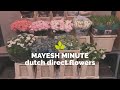 Mayesh Minute: Dutch Direct Flowers December 15