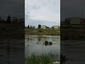 Mureșul la podul Traian