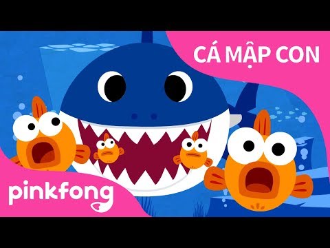 Cá Mập Con | Baby Shark Vietnamese | Bài hát về Động Vật | @Pinkfong! Những bài hát cho trẻ em!