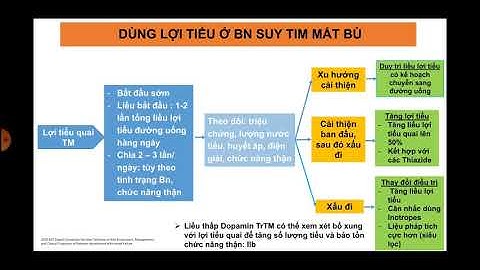Cập nhật sử dụng thuốc lợi tiểu