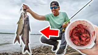 Shoreline Catfishing with HAIRY Stink Bait