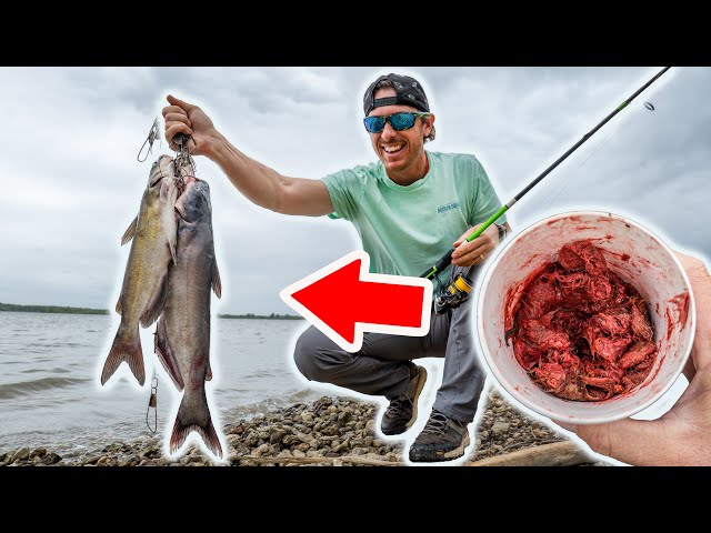 Basic Rig For Catching Catfish - Outdoors with Bear Grylls