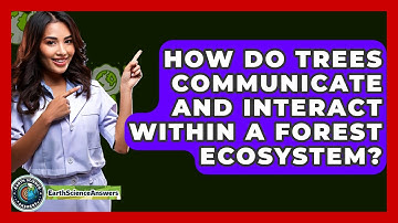 How Do Trees Communicate And Interact Within A Forest Ecosystem? - Earth Science Answers
