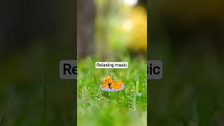 Relaxing music for meditation, deep sleep, stress relief and focus #relaxingmusic #sleepmusic#shorts