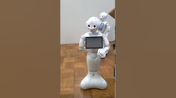 Pepper; built-in collision detection