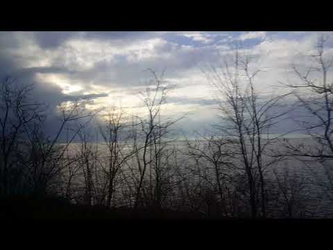 ქართული წართმეული სილამაზე..ქართული მცენარეები და ულამაზესი ზღვის სანაპირო