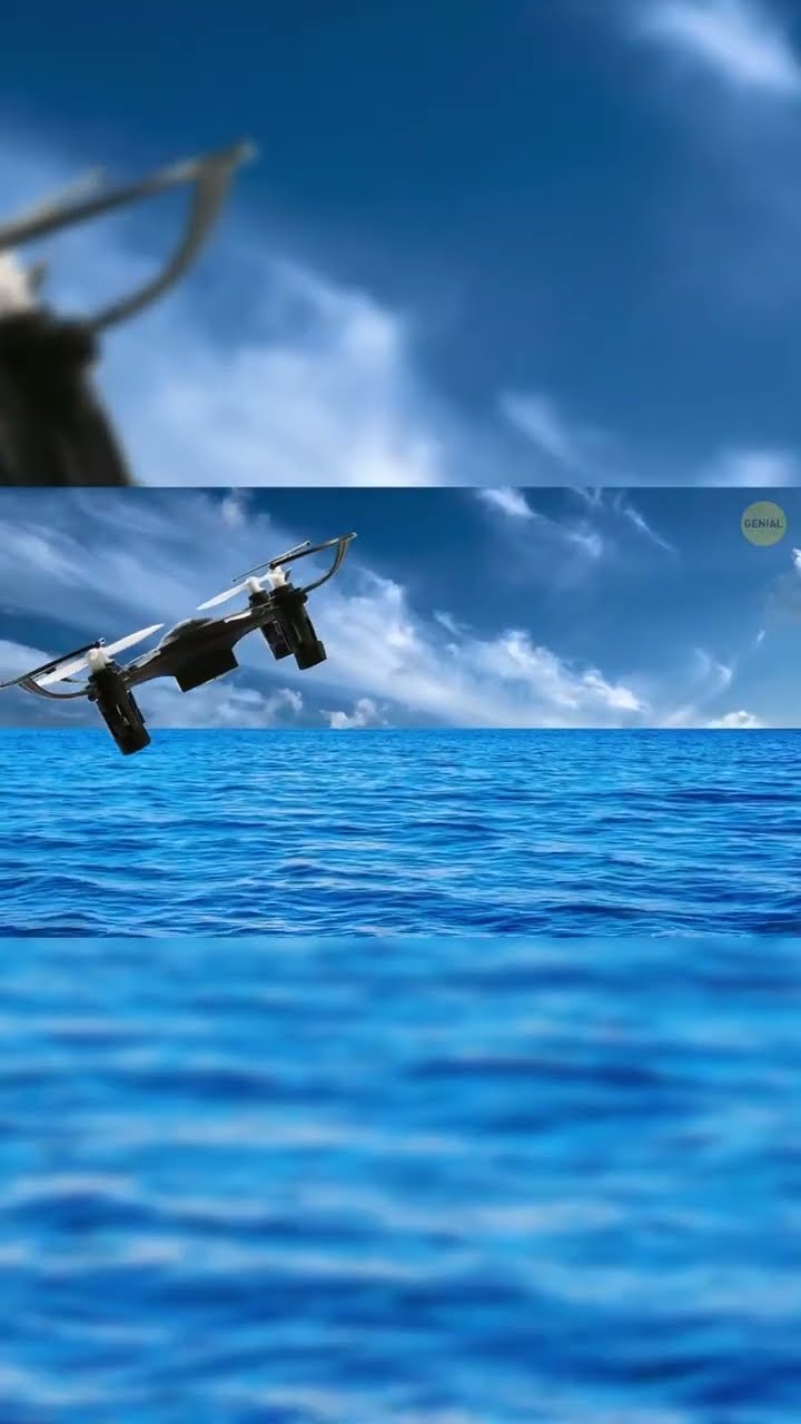 SALVA VIDAS DURANTE UN TSUNAMI