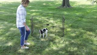 Contour Exercise Pen by MidWest Homes for Pets