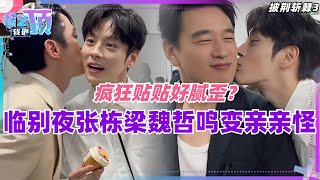 哥哥们临别夜，张栋梁魏哲鸣 化身亲亲怪！疯狂贴贴好腻歪！ callmebyfires3 | 娱乐 | 综艺 | music | 音乐