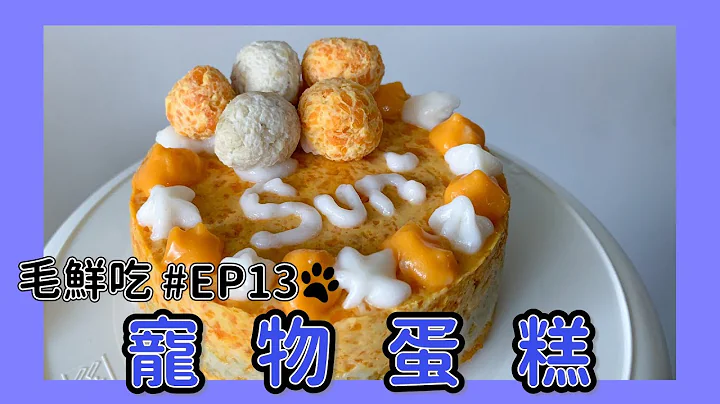 寵物鮮食【毛鮮吃】EP13｜寵物蛋糕 - 天天要聞