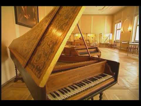 Video: Múzeum Mozartovho Domu - Neobvyklé Exkurzie V Salzburgu