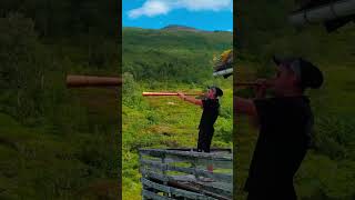 Download Lagu Spiller på Lur MP3