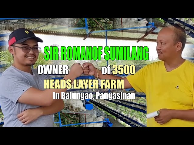 MEET SIR ROMANOF SUMILANG | OWNER OF 3500 HEADS LAYER FARM IN BALUNGAO, PANGASINAN class=