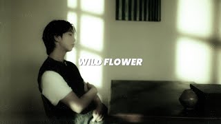 rm - wild flower // slowed & reverb