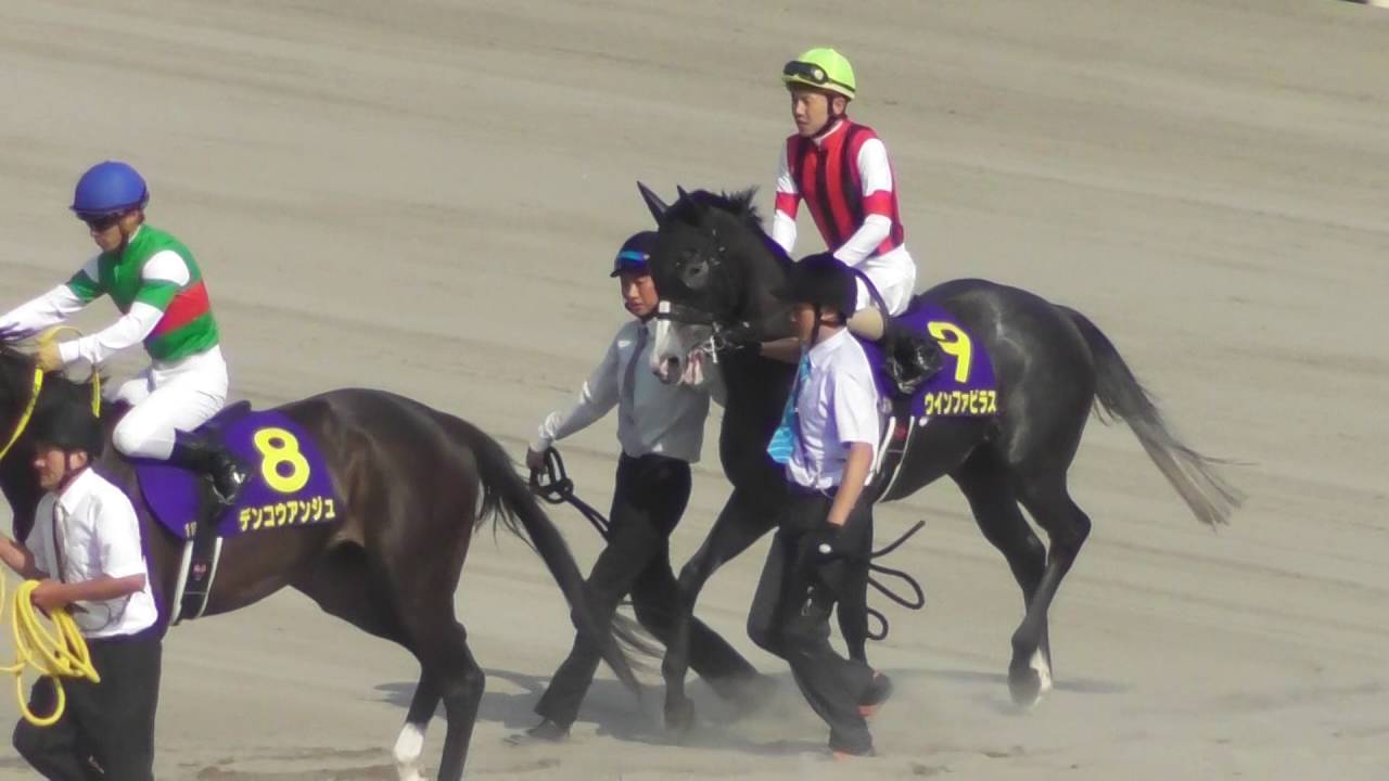 2016 第77回 オークス(GI) 本馬場入場 現地映像 シンハライト - YouTube